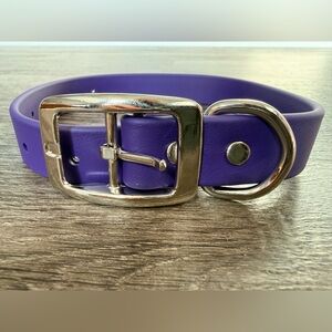 NEW Regal Dog Products Waterproof Dog Collar HeavyDuty Size Medium Purple Silver
